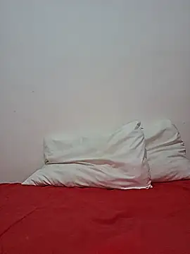 Chatroom en direct de altinya