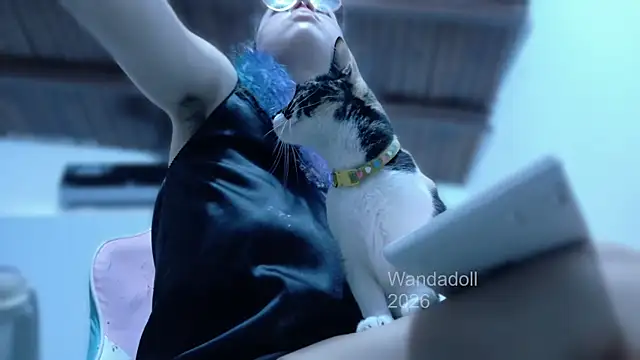 Bilik Sembang Langsung WandaDoll