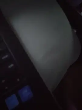 Buddy_Cuck 실시간 채팅방