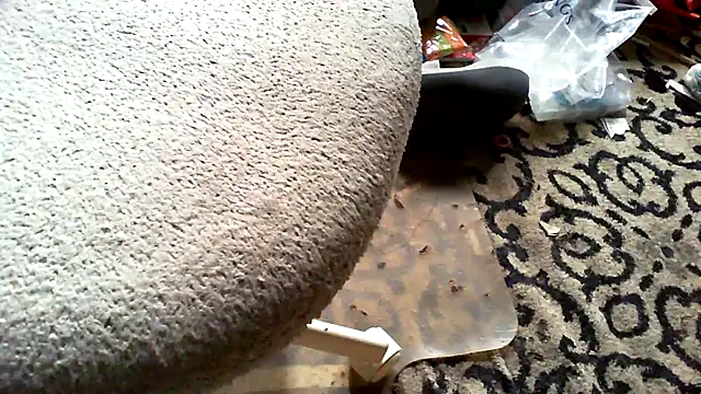 TheCockandBlonde – live chatrum