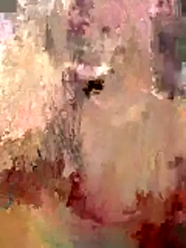 Aome_01 Live Chatraum