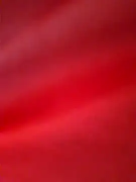 Priya_Bong Live Chatrum