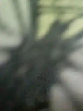 Priya_Bong чат на живо