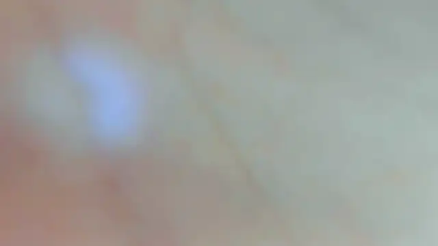 חדר צ'אט בשידור חי של AliceDen