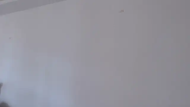 IzabelllNoir Live Chatraum