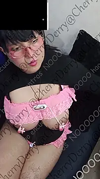 CherryDerry 现场聊天室