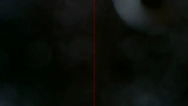 0815lukas2024's Live Chat Room