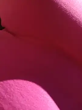 Sala de chat ao vivo de Era_bea