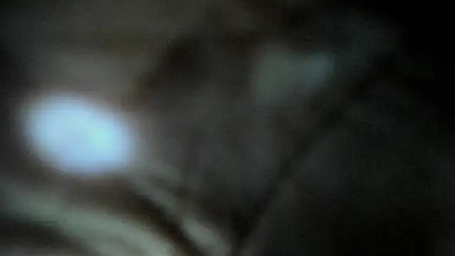 Zombieeporcelainex Live Chatraum