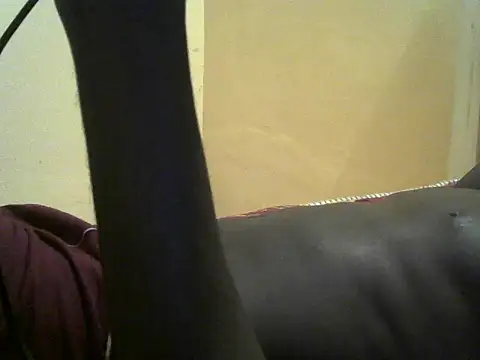 Bigras0011's Live Chat Room