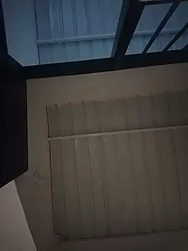 ariana_d20 现场聊天室