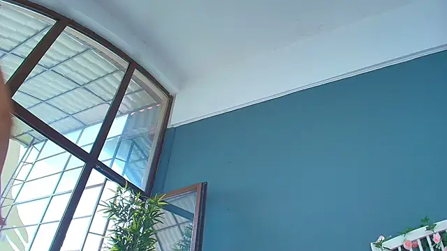 Chat ao vivo de AlicePirs
