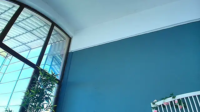 Živá chatovací místnost AlicePirs