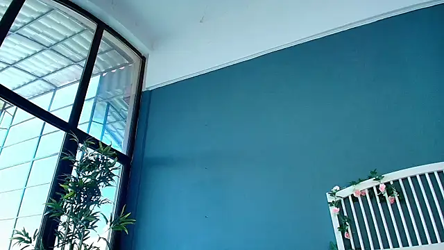 AlicePirs 现场聊天室