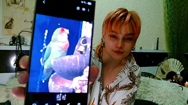 Sophie_Bell 실시간 채팅방