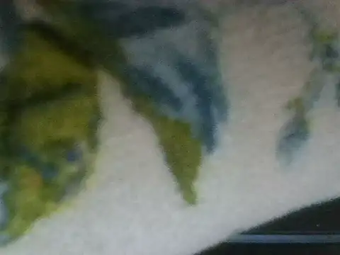 Chat ao vivo de sherry_anne