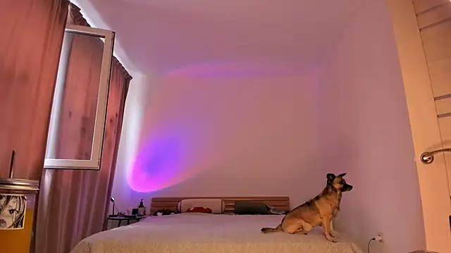 alisahug Live Chatraum