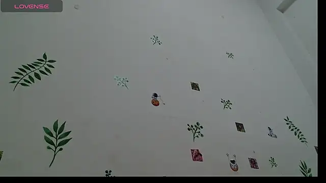 RexaRoberts Live Chatraum