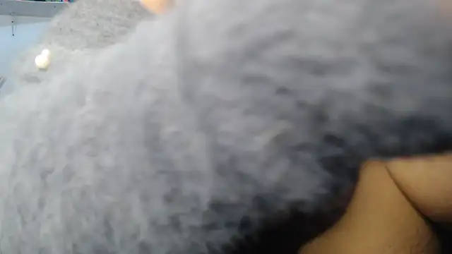 Živá chatovací místnost SWEETT_CORY