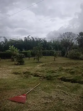 Bilik Sembang Langsung brigitht