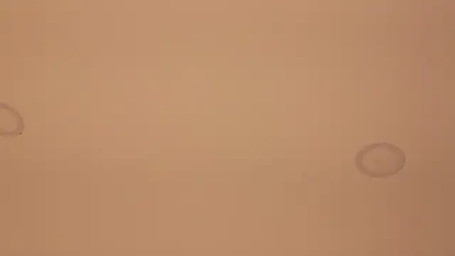 ericbana__n Live chat-huone