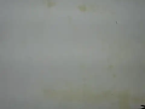 sexyzena_'s Live Chat Room