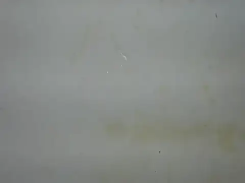 sexyzena_'s Live Chat Room