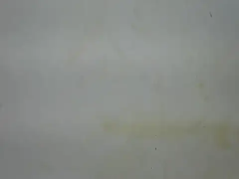 sexyzena_'s Live Chat Room