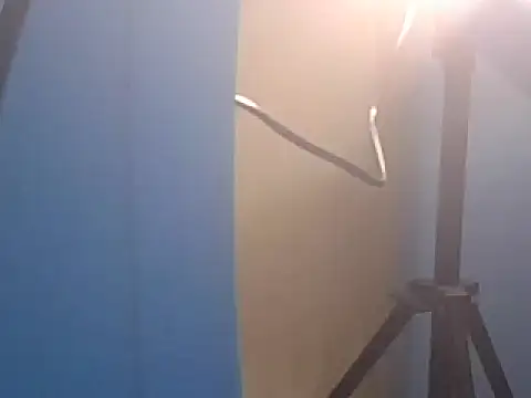 Bootiq's Live Chat Room