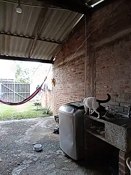Živá chatovací místnost NattyVega