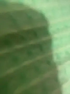 Cloew_Marz লাইভ চ্যাট রুম