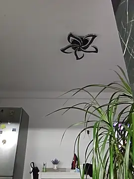 Živá chatovací místnost Bel_lla036Bella