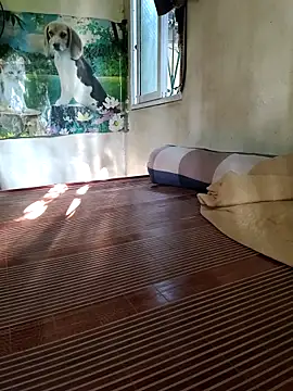 Sala de chat en directo de Basanis68
