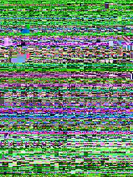 MaverickGray Cameră chat live