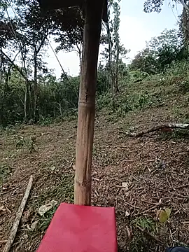 Phòng Chat Trực Tiếp esmeralda_li
