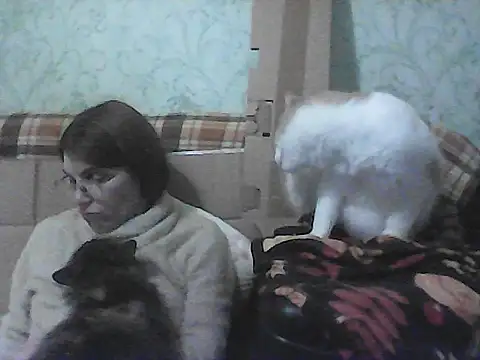 Chatroom en direct de Musical__fantasy