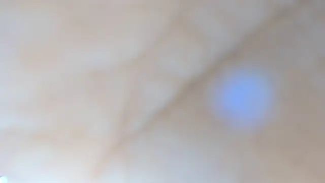 Sala de chat en directo de samy_19_