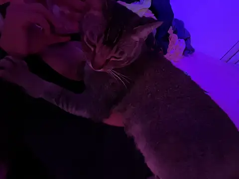 غرفة دردشة Onlypawzz المباشرة