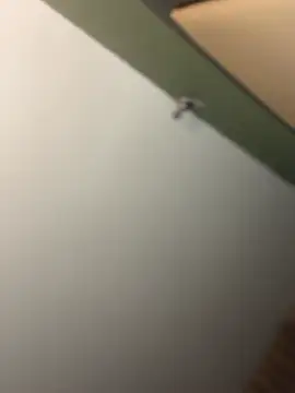 Chat ao vivo de PrettyGal_Tingz