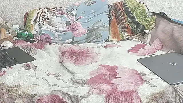 Cute_Cat777 실시간 채팅방