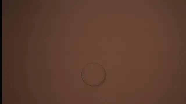Aimilayne 现场聊天室