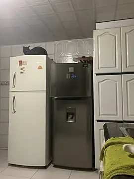Sala de chat ao vivo de Freya_Artemisa