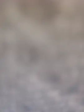 חדר צ'אט בשידור חי של 4_fox_sakes