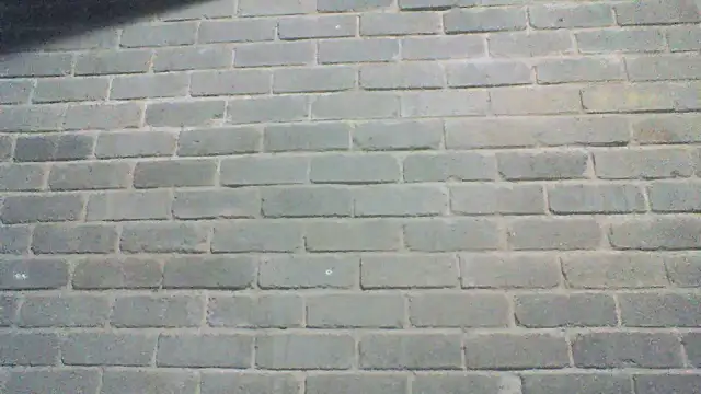 EksJouneMwah Live Chatraum