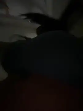 Tamyjenkins1 Live Chatraum