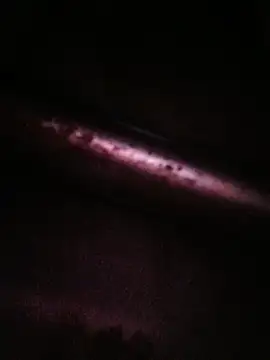 Živá chatovací místnost Princessroooh
