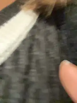AbyThompson Cameră chat live