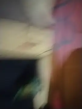 Dialexj 실시간 채팅방
