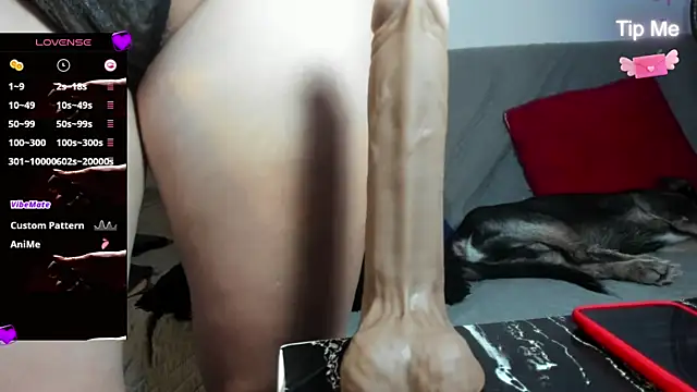 Chatroom en direct de faberdubois1