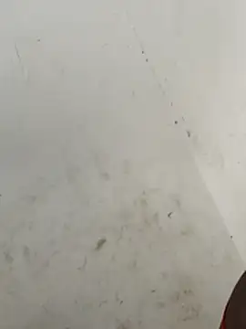 Sala de chat ao vivo de FeltedEuropium
